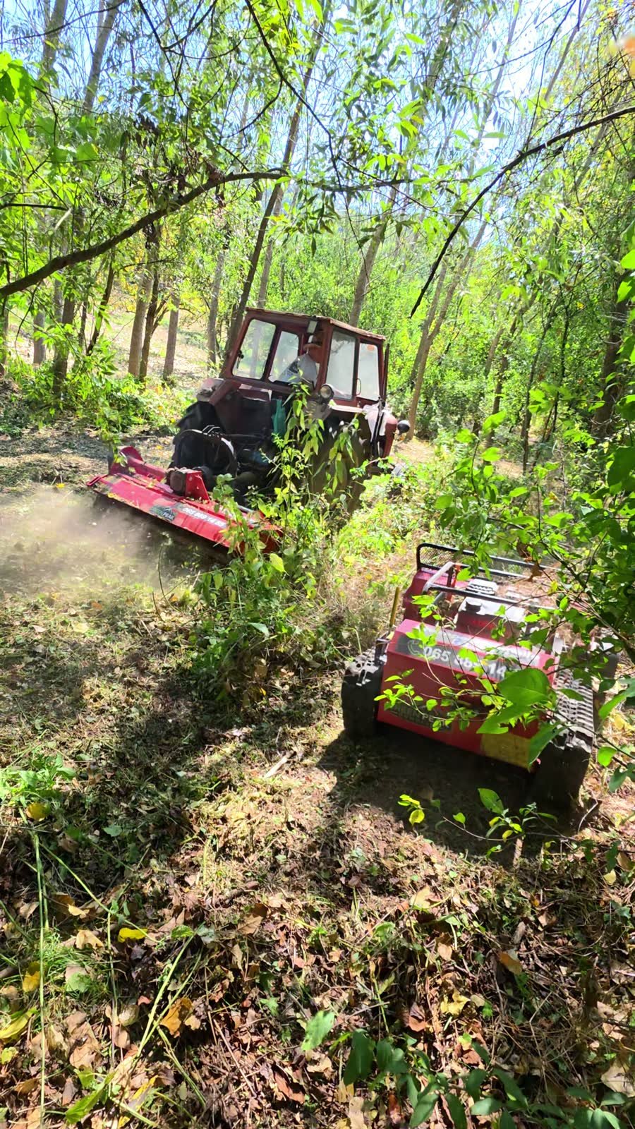 Traktor sa malčerom i robot zajedno čiste šumarak zarastao u šiblje